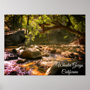Gorge de rouleur, la Californie - affiche