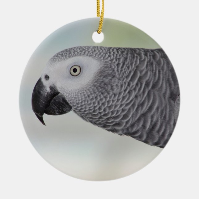 Gorgeous African Grey Parrot Ceramic Ornament (Front)