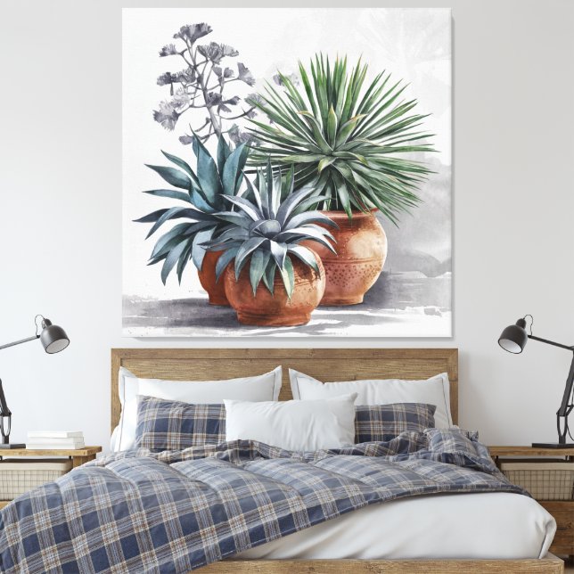 Gorgeous Agave Plants in Rustic Terracotta Pot Canvas Print (Insitu(Bedroom))