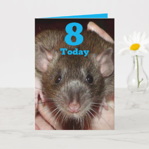 Gorgeous agouti rat customizable 8th Birthday Card