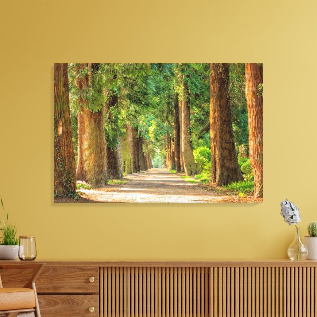 Gorgeous Avenue of Redwood Trees Canvas Print (Insitu(LivingRoom))