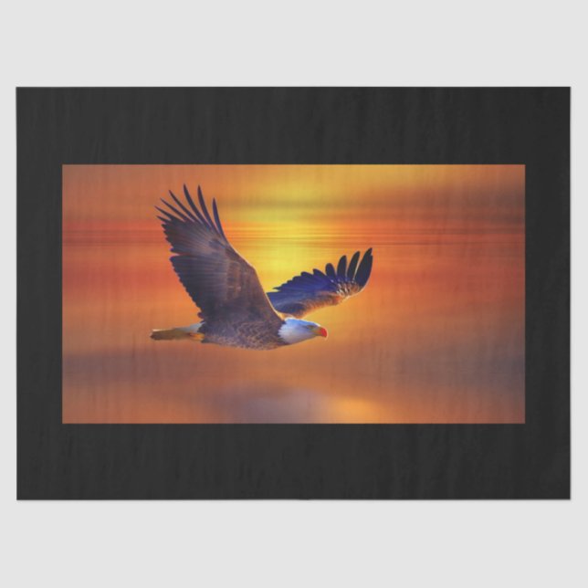 Gorgeous Bald Eagle in Flight Sunset Tissue Paper (Front)
