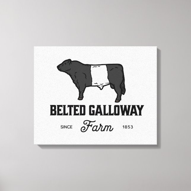 Gorgeous Belted Galloway Steer Cutout Beltie Gift  Canvas Print (Front)