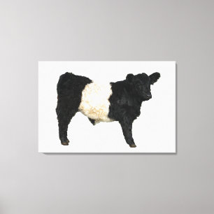 Gorgeous Belted Galloway Steer Cutout Beltie Gift  Canvas Print
