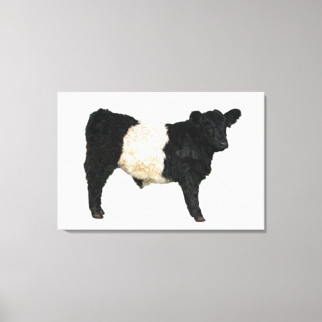 Gorgeous Belted Galloway Steer Cutout Beltie Gift  Canvas Print (Front)