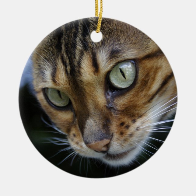 Gorgeous Bengal Cat Ceramic Ornament (Front)