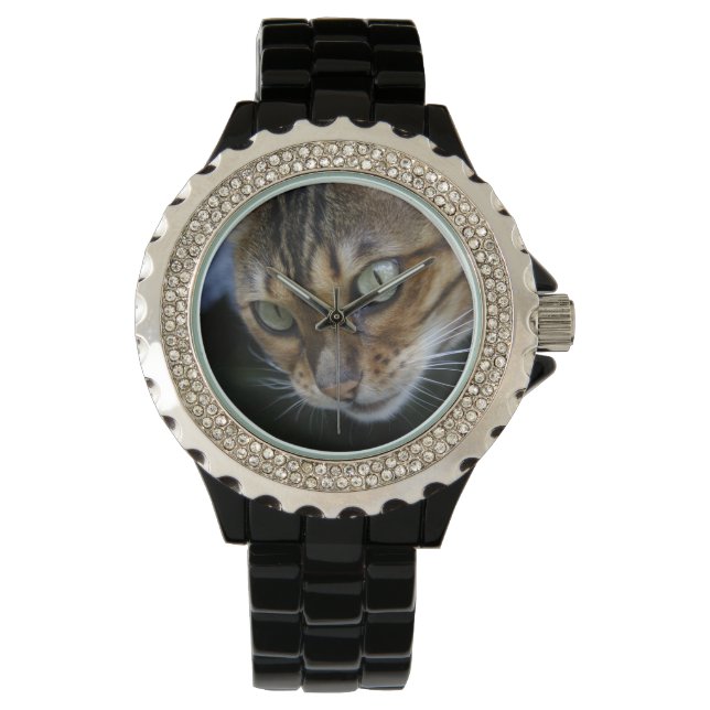 Gorgeous Bengal Cat Watch (Front)