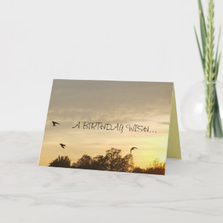 Gorgeous Birthday Card