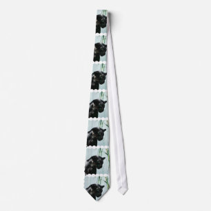 Gorgeous Black Panther Tie