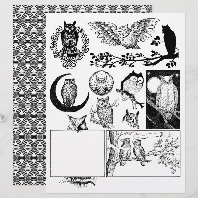 Gorgeous Black & White Line Art Drawings of Owls (Front/Back)