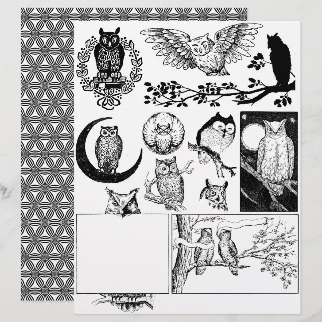 Gorgeous Black & White Line Art Drawings of Owls (Front/Back)