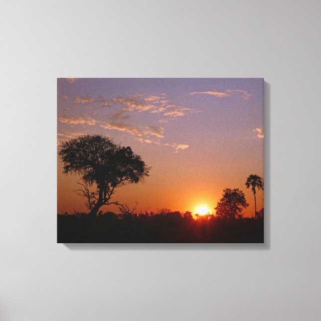 GORGEOUS BOTSWANA SUNSET CANVAS PRINT (Front)