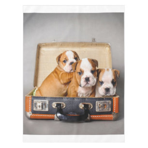 Gorgeous Bulldog Puppies   Dog Lover Tablecloth