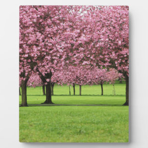 GORGEOUS CHERRY FLORAL PLAQUE