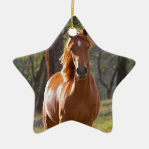 Gorgeous Chestnut Brown Horse in Field Ceramic Ornament