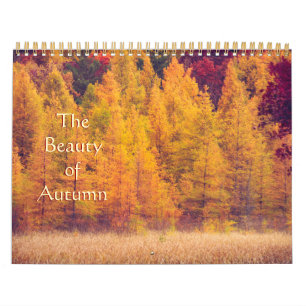 Gorgeous, Colourful Autumn Photography Calendar