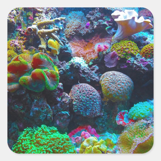 Gorgeous Coral Reef Square Sticker (Front)