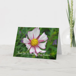 Gorgeous Cosmos Thank You Card