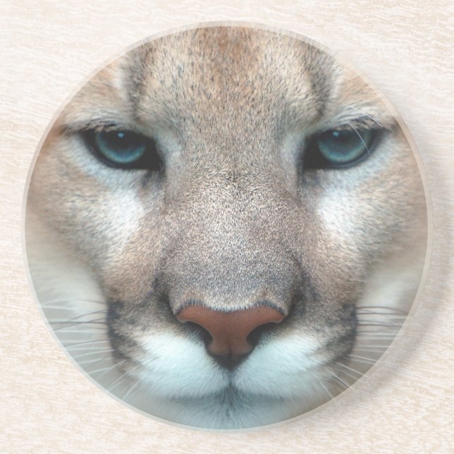 GORGEOUS COUGAR COASTER (Front)