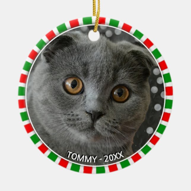 Gorgeous custom gray cat photo and green red frame ceramic ornament (Front)