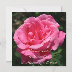 Gorgeous Deep Pink Rose Invitation