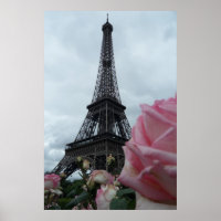 Gorgeous Eiffel Tower with Pink Roses Paris