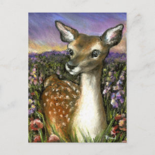 Gorgeous fawn postcard