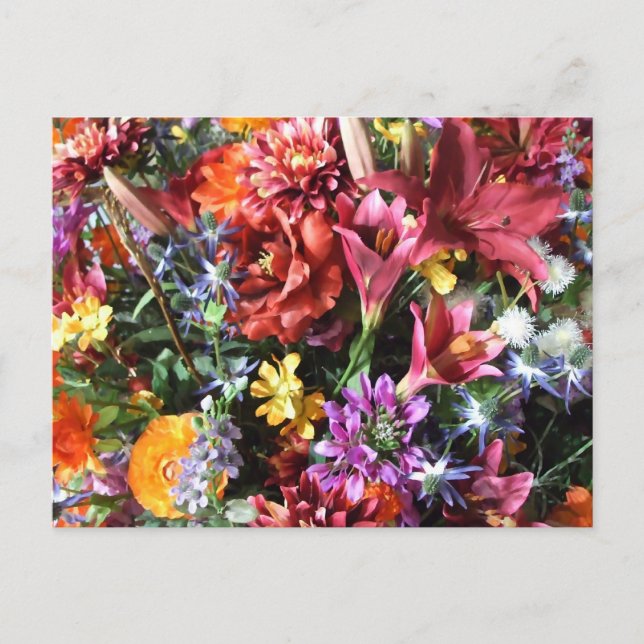 gorgeous, flamboyant flowers. postcard (Front)