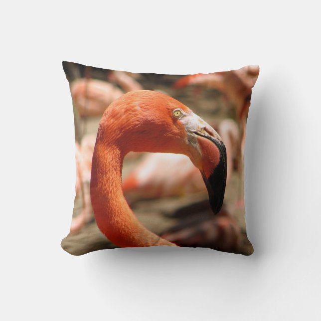 Gorgeous Flamingo Pillow! Throw Pillow (Front)