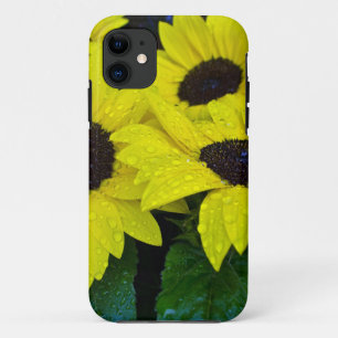 GORGEOUS GARDEN SUNFLOWERS iPhone 11 CASE