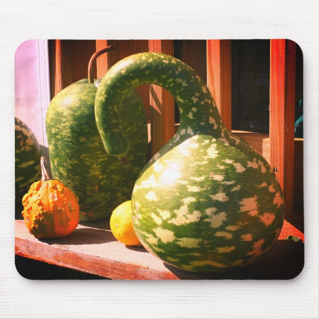 Gorgeous Giant Gourds Nature  Mouse Pad (Front)