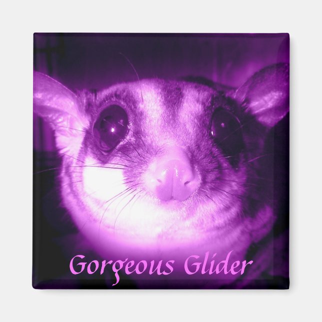 Gorgeous Glider Magnet (Front)