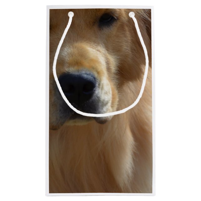 Gorgeous Golden Retriever Small Gift Bag (Back)