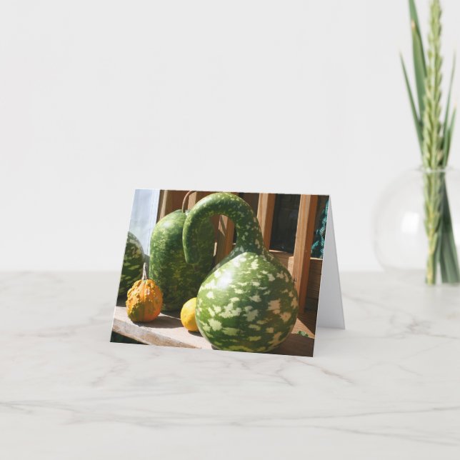 Gorgeous Gourds Autumn Nature  Note Card (Front)
