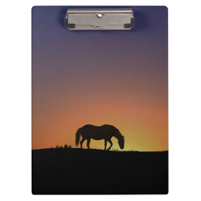 Gorgeous Horse Clipboard (Front)