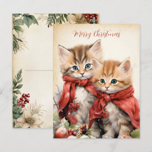 Gorgeous Kitten Couple Christmas  Postcard