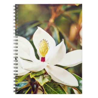 Gorgeous Mississippi Magnolia Notebook