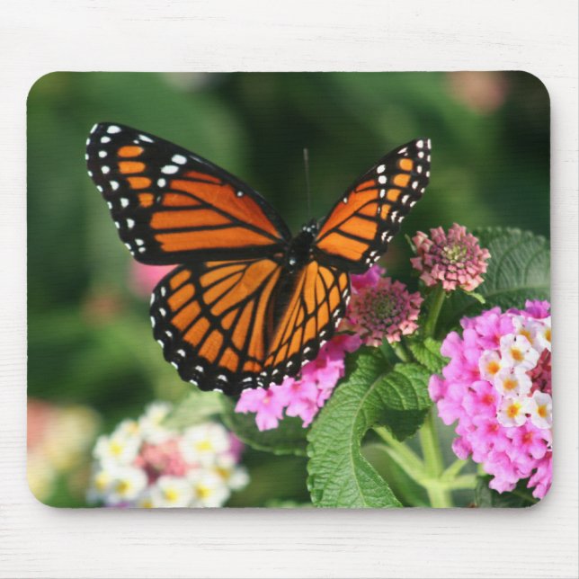 Gorgeous Monarch Butterfly Design Mouse Pad (Front)