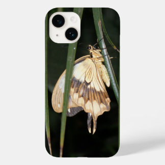 Gorgeous Moth Case-Mate iPhone 14 Case