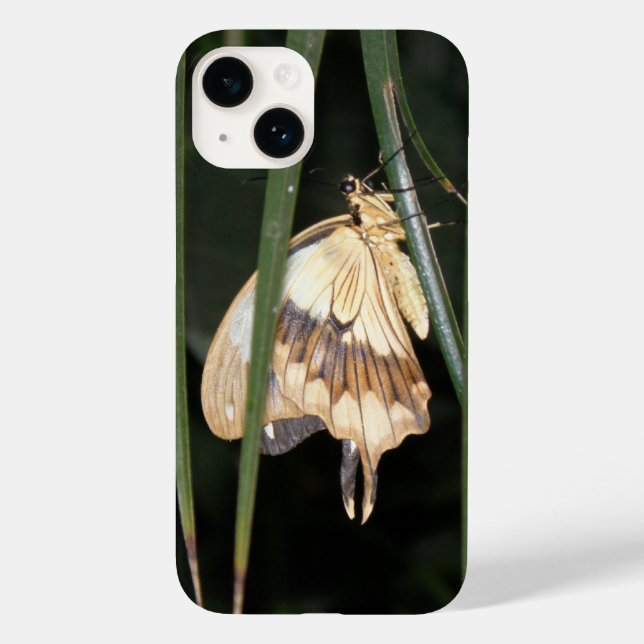 Gorgeous Moth Case-Mate iPhone Case (Back)