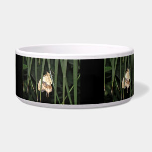 Gorgeous Moth Dog Bowl