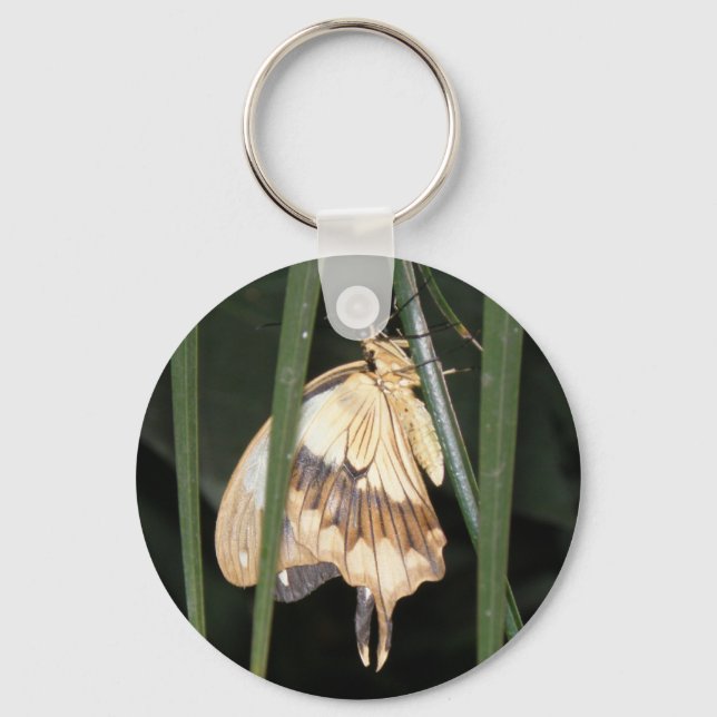 Gorgeous Moth Keychain (Front)