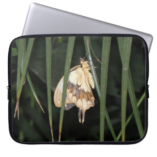 Gorgeous Moth Laptop Bag