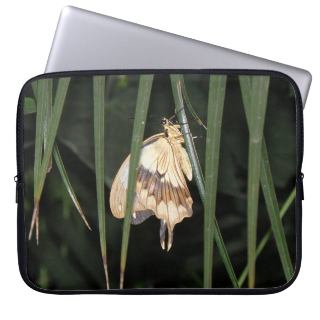 Gorgeous Moth Laptop Bag (Front)