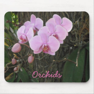 Gorgeous Orchids Mouse Pad