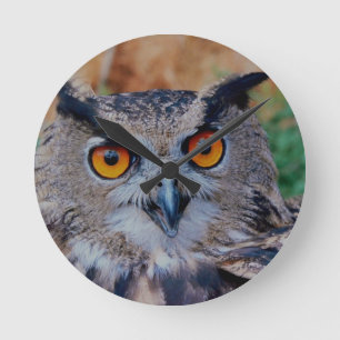 GORGEOUS OWL EYES ROUND CLOCK