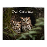 Gorgeous Owl Portrait Collection 2024