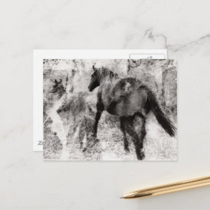 Gorgeous Paint Horse Mare and Foal Postcard