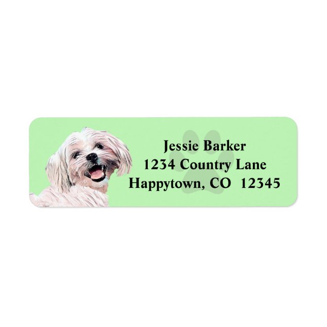 Gorgeous Painted Maltese Return Address Label (Front)
