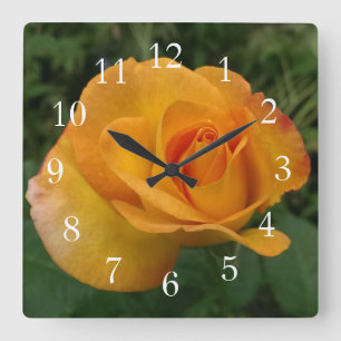 Gorgeous Peach Rose Square Wall Clock